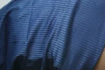 DSC01455